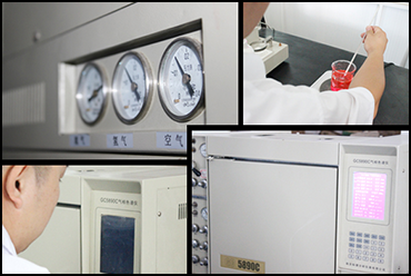 FOTOS DE INSPECCION Y FORMA